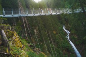 Il Viaggiatore Magazine - Ponte sospeso Val di Rabbi -Foto Joe Barba