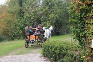 Il Viaggiatore Magazine - Carrozze d'epoca in Friuli Venezia Giulia