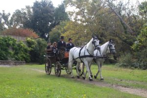 Il Viaggiatore Magazine - Carrozze d'epoca in Friuli Venezia Giulia