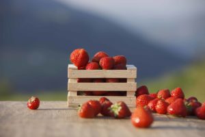 Il Viaggiatore Magazine - Fragole della Val Martello - Val Venosta, Bolzano