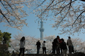 Il Viaggiatore Magazine - Tokyo Sky Tree - Tokyo, Giappone