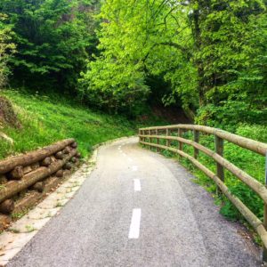 Il Viaggiatore Magazine - Pista ciclabile lungo il Fiume Piave