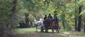 Il Viaggiatore Magazine - Carrozze d'epoca in Friuli Venezia Giulia