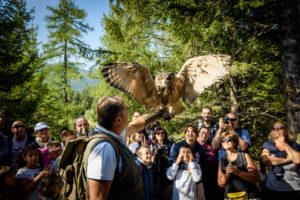 Il Viaggiatore Magazine - Osservatorio Eco-faunistico - Aprica, Sondrio - Foto Previsdomini