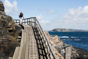 Il Viaggiatore Magazine - Dyrön, Svezia - Foto di Katja Ragnstam