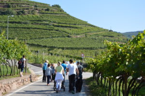 Il Viaggiatore Magazine - Festa dell'Uva - Fototeca Strada Vino Sapori Trentino