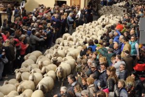 IlViaggiatoreMagazine-Devétéya (Transumanza)-Cogne-Aosta