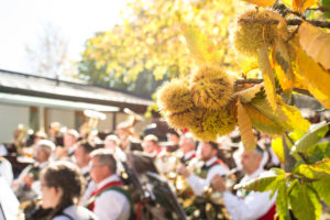 IlViaggiatoreMagazine-Festa della castagna-Lana e dintorni-Bolzano