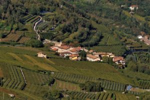 IlViaggiatoreMagazine-"La Vigna eccellente"-Isera-Trento-Foto F. Badocchi