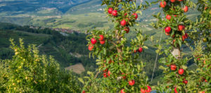 IlViaggiatoreMagazine-Panorama val Di Non-Trento