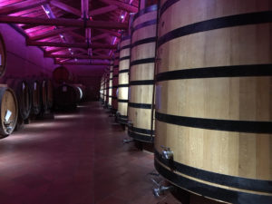 IlViaggiatoreMagazine-Distillerie Berta-Cantine con colori e musica-Casalotto di Mombaruzzo-Asti