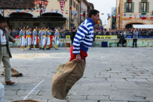 IlViaggiatoreMagazine-La Fiera de l'Oca -Mirano-Venezia