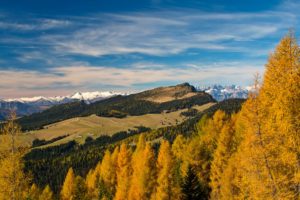 IlViaggiatoreMagazine-Foliage-Asiago-Vicenza