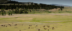 IlViaggiatoreMagazine-Lamar Valley-Yellowstone National Park-Ingresso est-USA