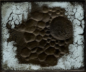 IlViaggiatoreMagazine-Fossile lunare (olio,caseina e sabbia su tela)-Franco Cardinali