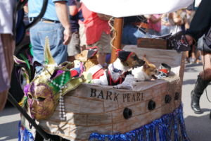 IlViaggiatoreMagazine-Parata del Mardi Gras-New Orleans-Louisiana-USA-Foto Paul Broussard