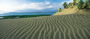 IlViaggiatoreMagazine-Dune di Banì- Repubblica Dominicana