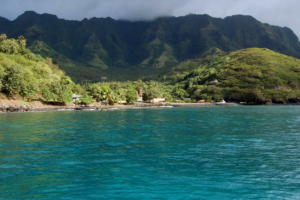 IlViaggiatoreMagazine-Tahuata-Albero di cocco-Isole Marchesi-Polinesia Francese