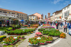 IlViaggiatoreMagazine-Mostra Mercato "Noale in fiore"-Noale-Venezia