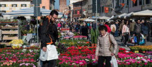 IlViaggiatoreMagazine-Mostra Mercato "Noale in fiore"-Noale-Venezia