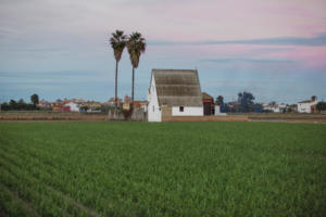 IlViaggiatoreMagazine-Huerta-Valencia-Spagna-Cosa fare a Valencia