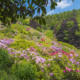 IlViaggiatoreMagazine-Conca dei Rododendri-Oasi di Zegna-Trivero-Biella-Foto Riccardo Trudi Diotallevi