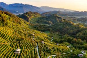 Colline Conegliano Valdobbiadene- Treviso-Foto Arcangelo Piai