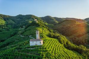 Colline Conegliano Valdobbiadene- Treviso