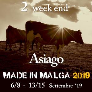 Formaggi-di-Asiago-Made in Malga-2019