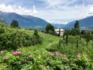 Giardino Kranzel-Cermes-Bolzano