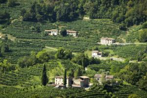 Rolle-Frazione di Valdobbiadene-Colline Conegliano Valdobbiadene-Treviso