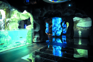 Vivarium Aquarium, scenario di ghiaccio