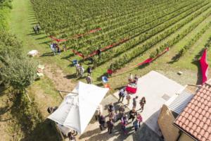 Festival Franciacorta in Cantina