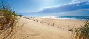 Le dune di Bibione
