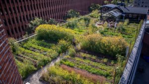 Fattoria urbana nel quartiere Østerbro-Copenaghen-Danimarca