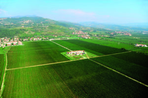 Tommasi Tenuta Prunea-Pedemonte di Valpolicella-Verona