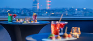 Aperitivo-Presidential Suite Terrace-Radisson Blu Hotel, Milan-Milano