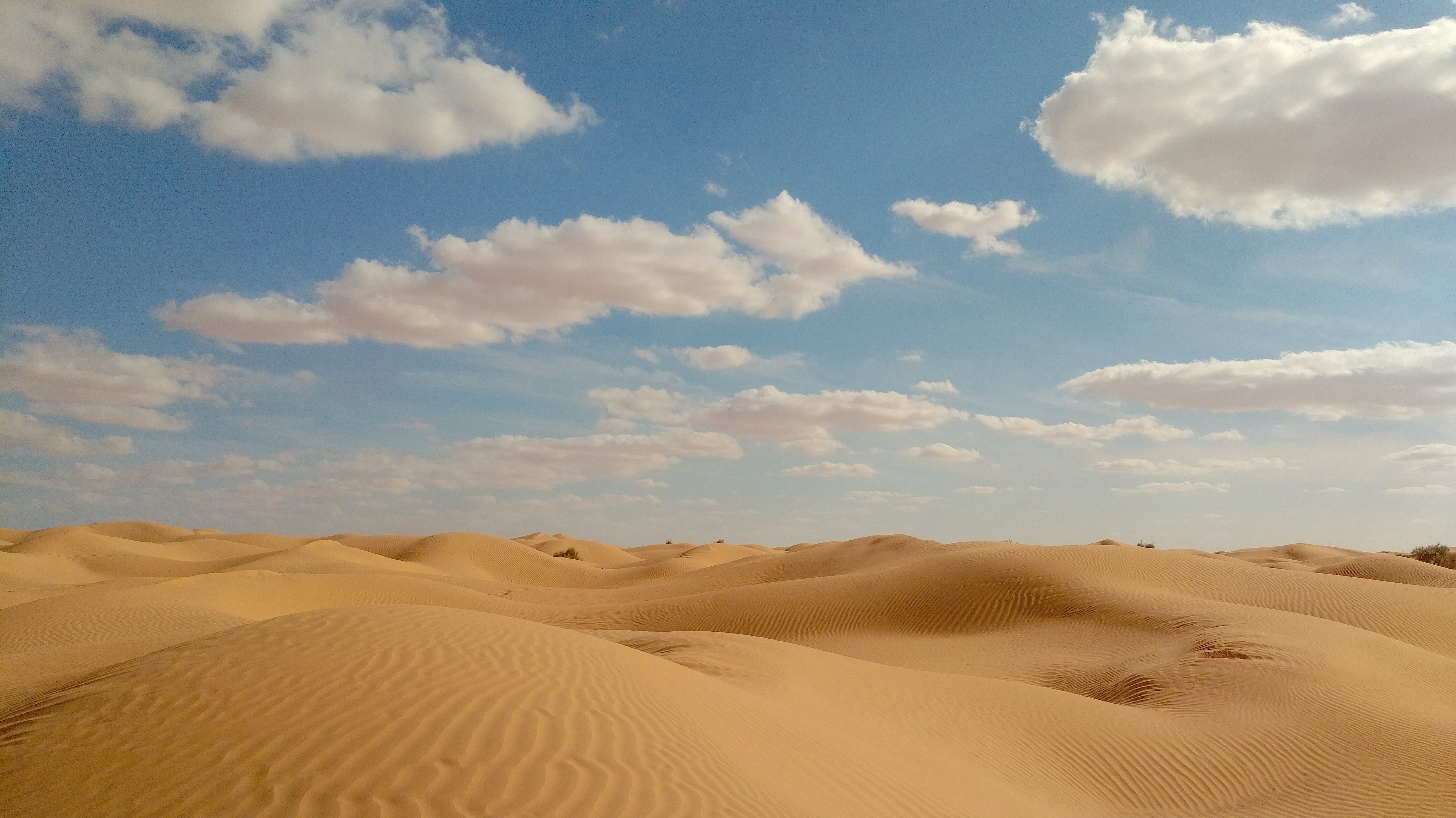 Dune-Tunisia