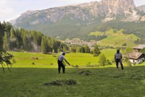 Maso Alfarei-Contadino per un giorno-Foto Eva Vallarin