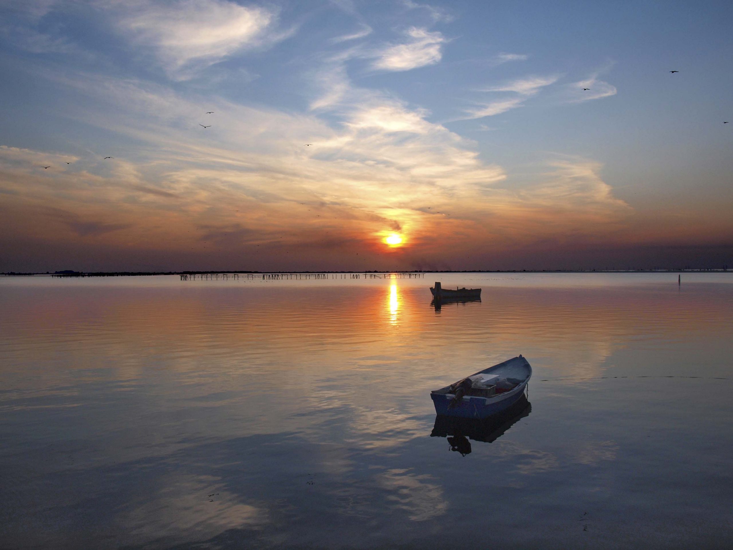 Parco del Delta del Po Veneto