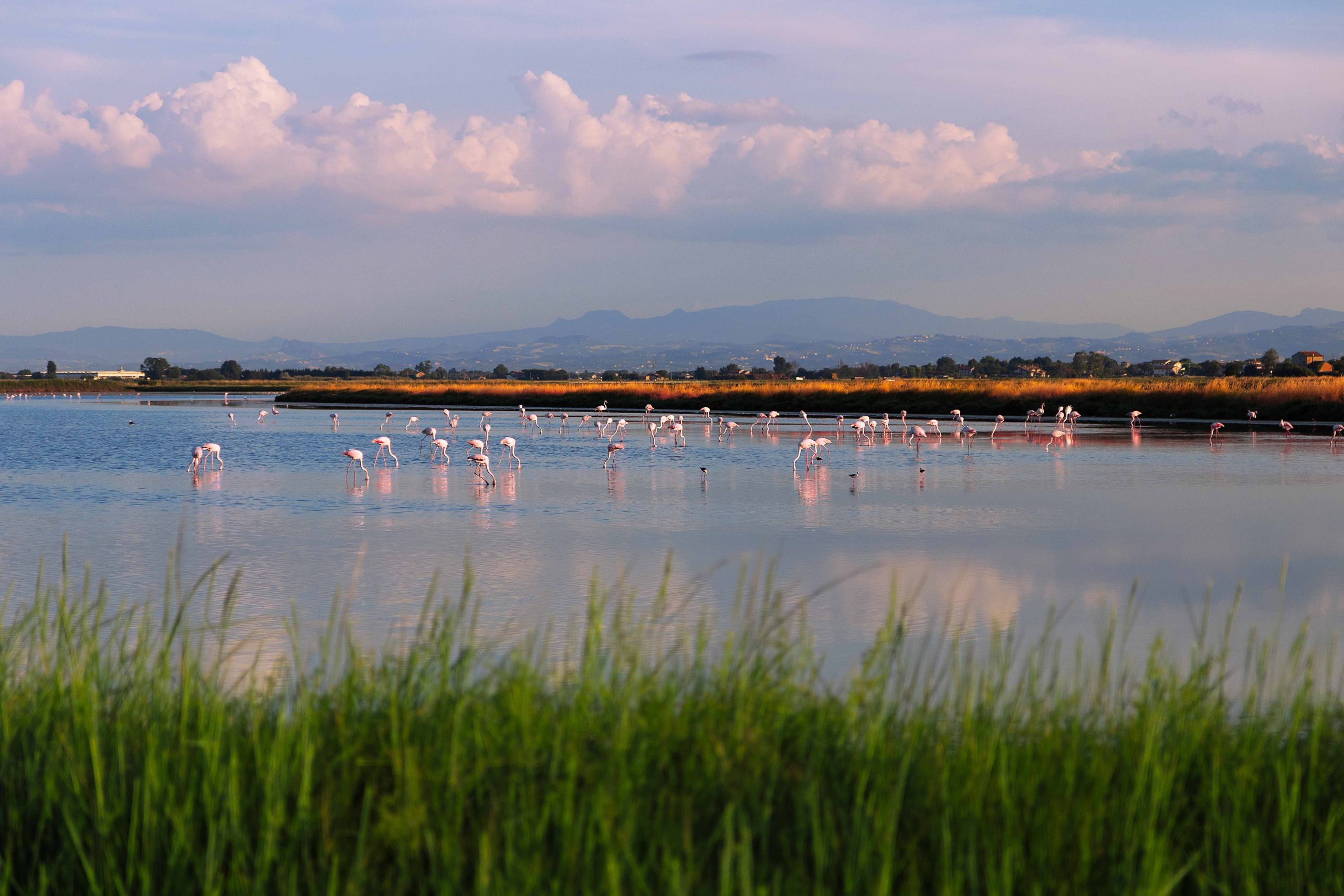 saline di cervia