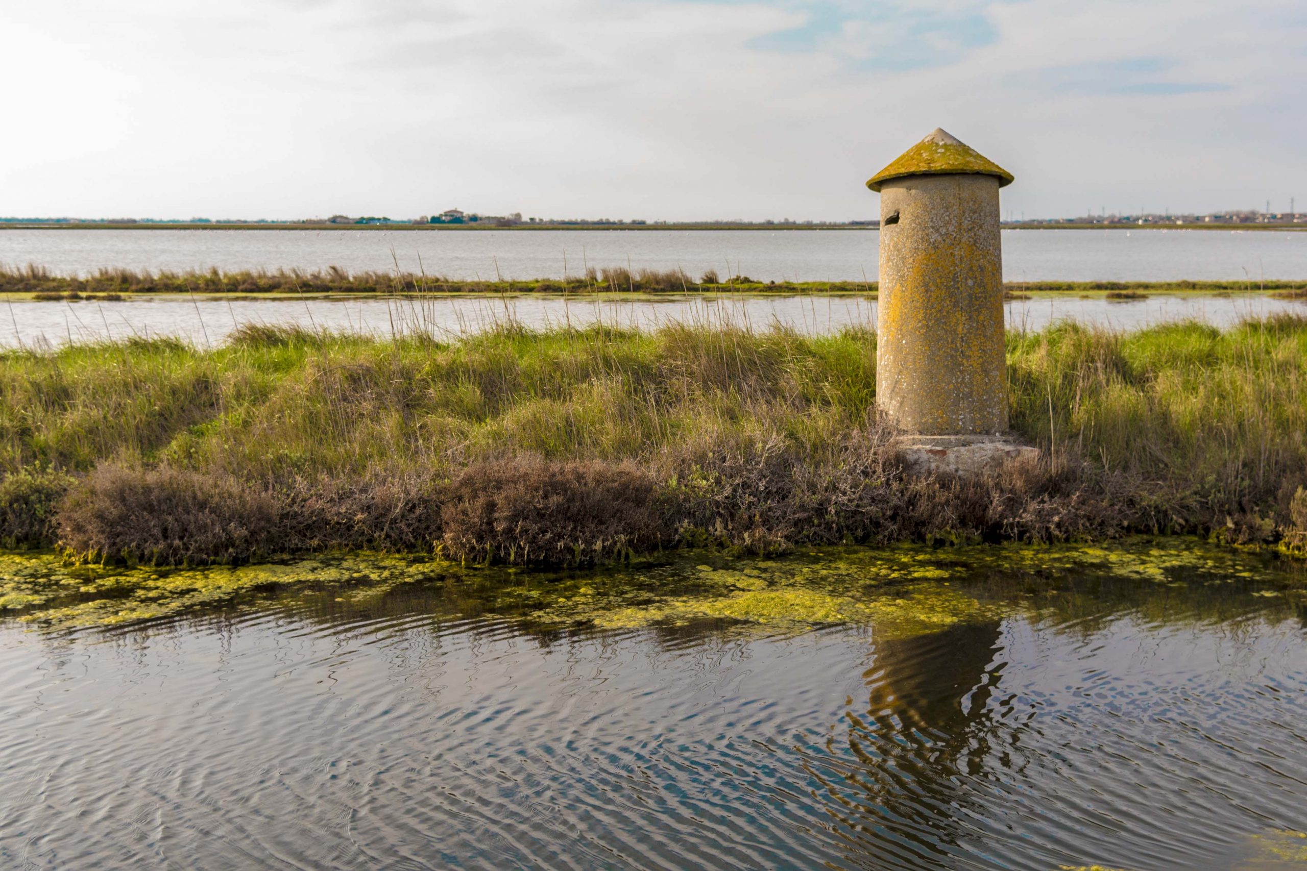 saline di cervia