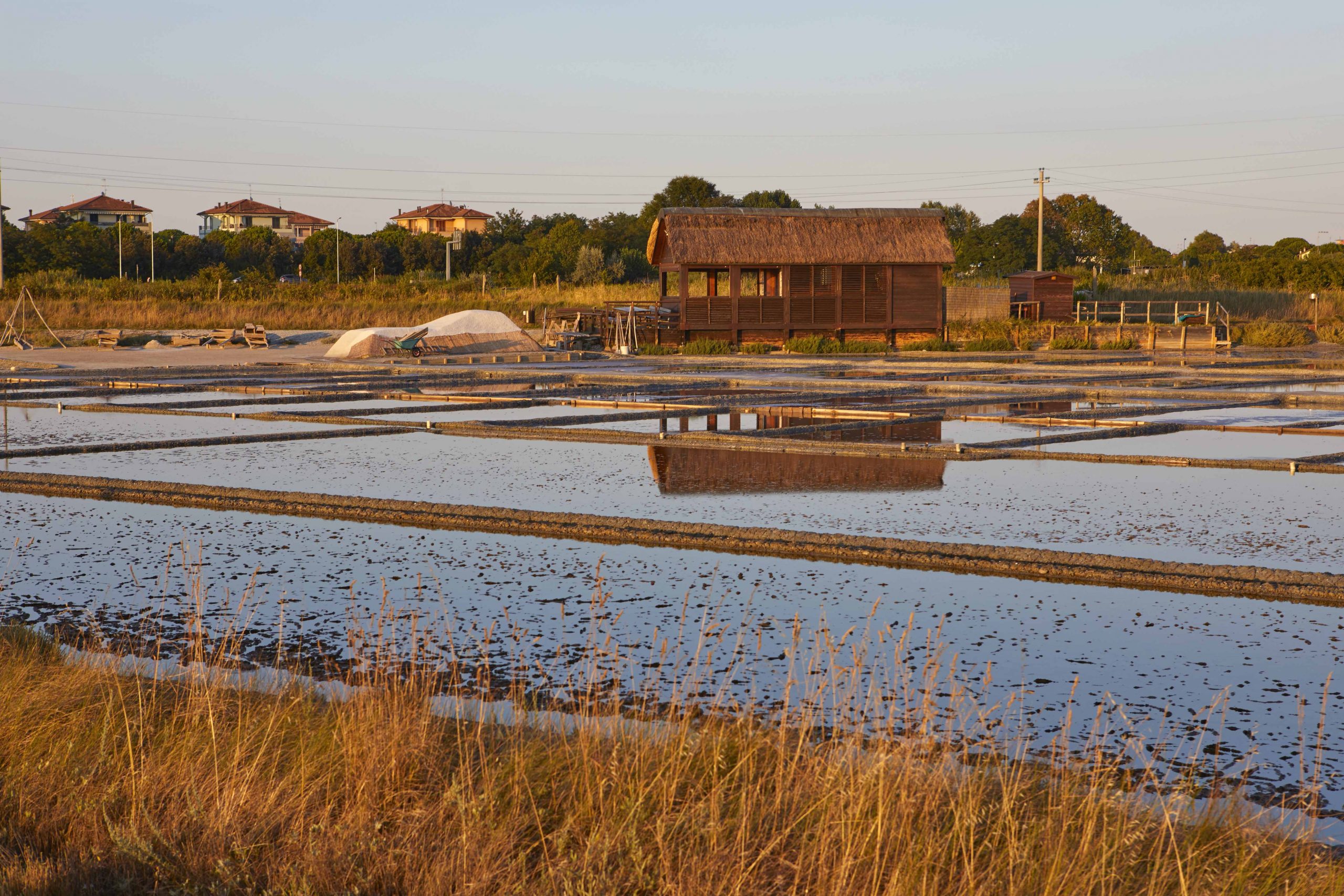 ine di cervia