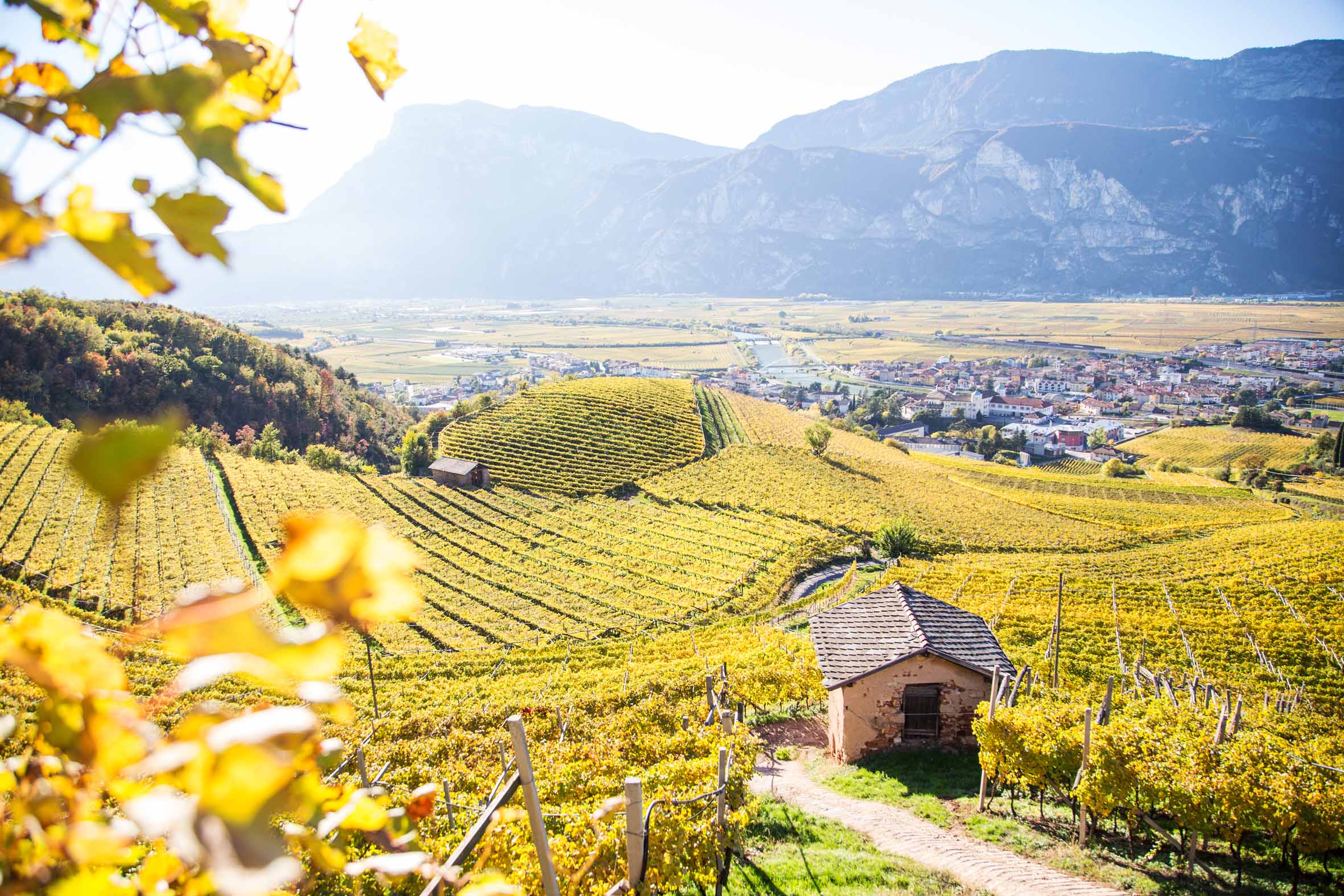 Passeggiata in Trentino