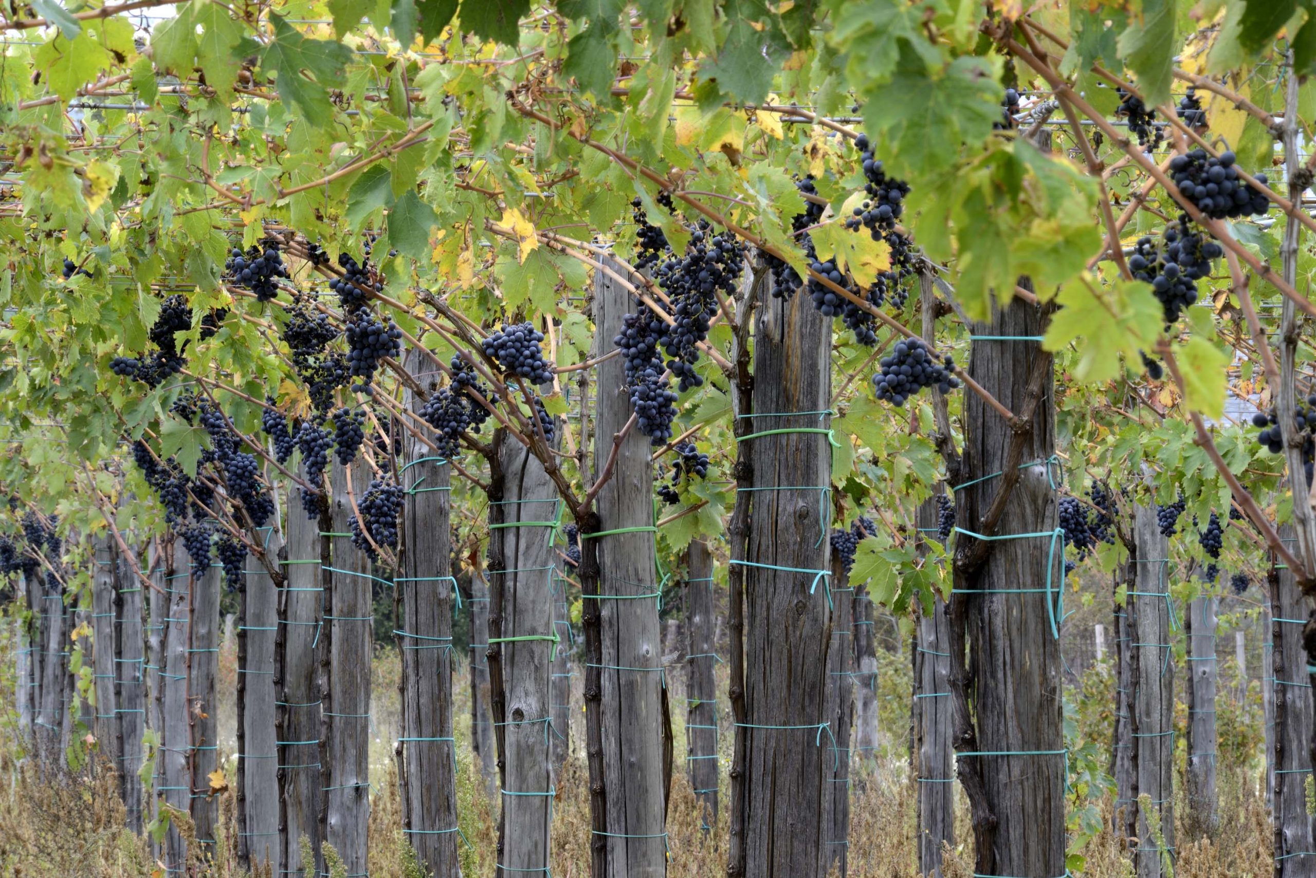 Autunno in Abruzzo