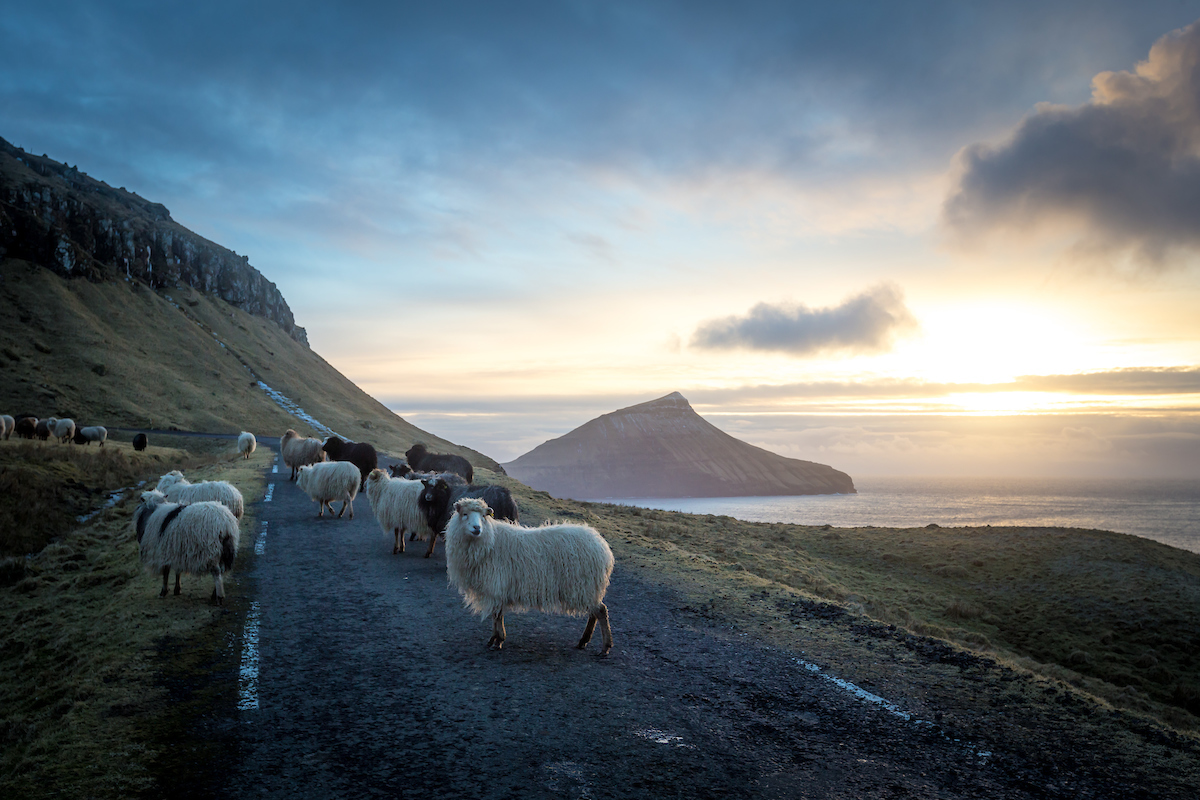 VIAGGIO NELLE ISOLE FAROE