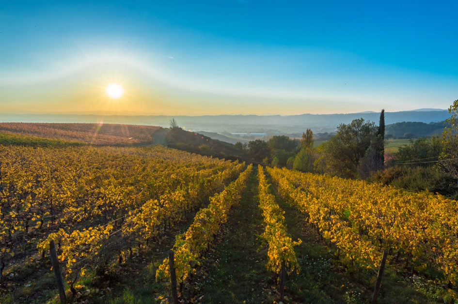 Frantoi Aperti in Umbria