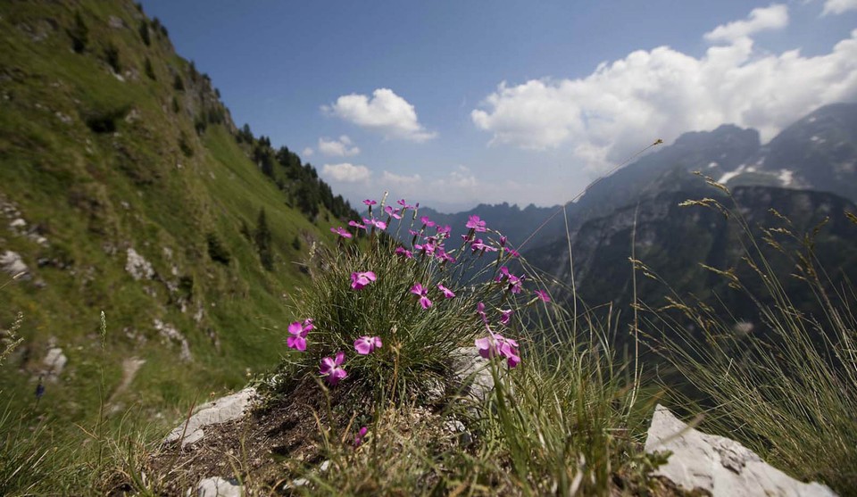 Belluno nelle Dolomiti