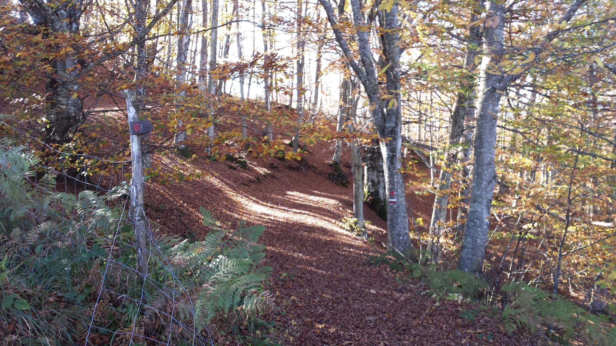 SULLE TRACCE DI DANTE