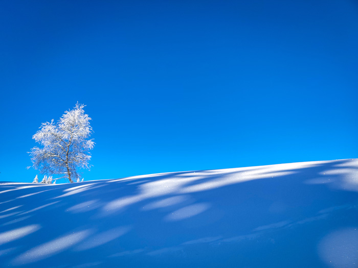 Inverno in Trentino